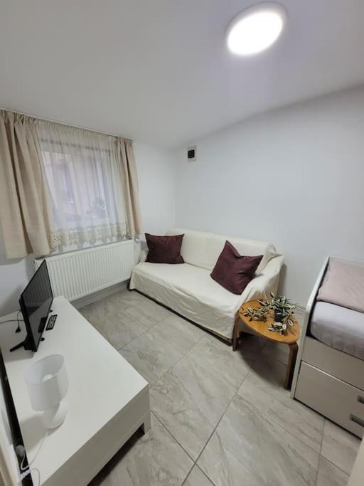 Studio Sibiu Dış mekan fotoğraf