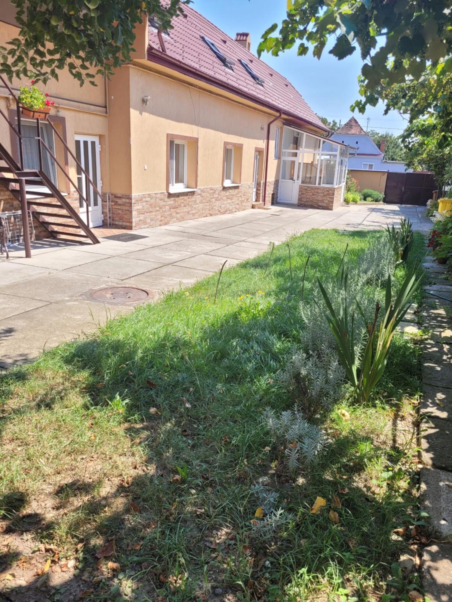 Studio Sibiu Oda fotoğraf